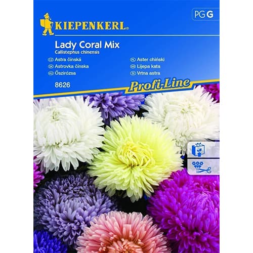 Kerti őszirózsa Lady Coral, színkeverék termék fotó 1 Kerti őszirózsa Lady Coral, színkeverék kép 1 termék 86241