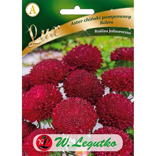 Őszirózsa kerti Pompon Bolero kép 1 termék 86744