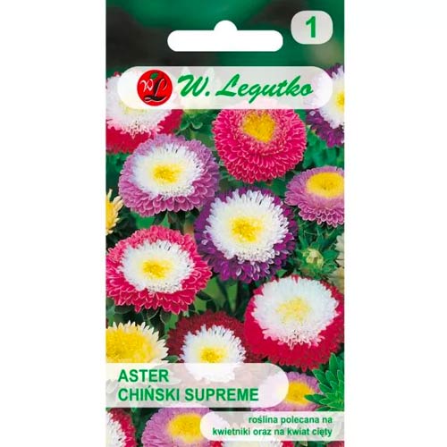 Őszirózsa kerti Pompon Supreme, színkeverék Legutko termék fotó 1 Őszirózsa kerti Pompon Supreme, színkeverék Legutko kép 1 termék 86817