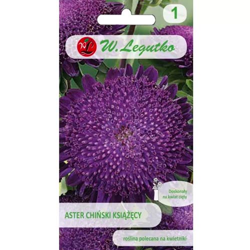 Őszirózsa kerti Prince ibolya Legutko kép 1 termék 78518