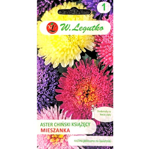 Őszirózsa kerti Prince, színkeverék Legutko kép 1 termék 78519