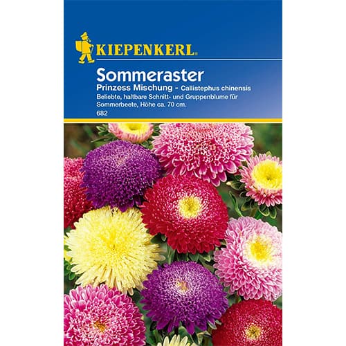 Kerti őszirózsa Princess, színkeverék kép 1 termék 86316