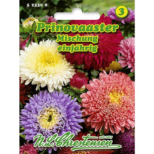 Kerti őszirózsa Prinovaaster, színkeverék kép 1 termék 86137