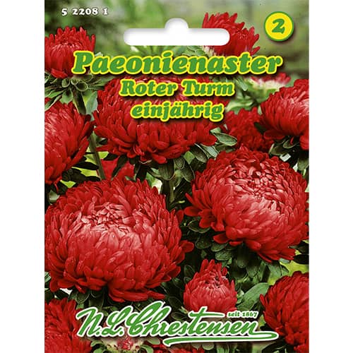 Kerti őszirózsa Red Tower, bazsarózsa fajta kép 1 termék 86136