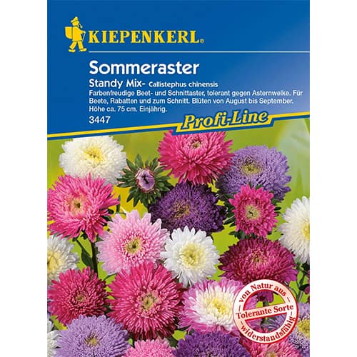 Kerti őszirózsa Standy, színkeverék kép 1 termék 96573