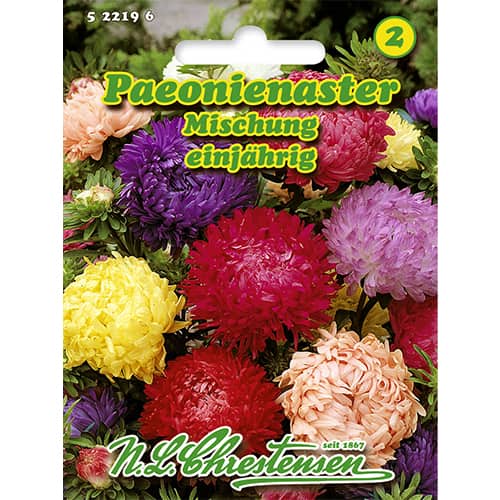 Kerti őszirózsa, színkeverék, bazsarózsa fajta kép 1 termék 86135