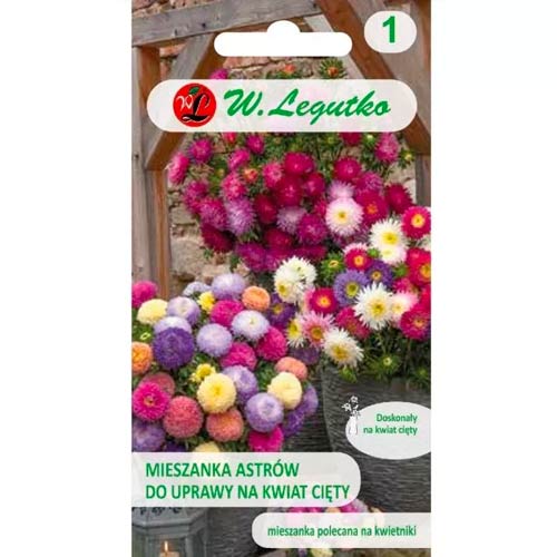 Őszirózsa kerti vágáshoz, színkeverék Legutko termék fotó 1 Őszirózsa kerti vágáshoz, színkeverék Legutko kép 1 termék 50083