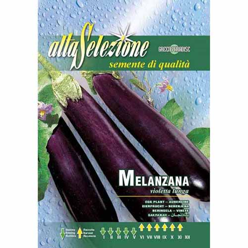 Padlizsán Violetta Lunga kép 1 termék 87195