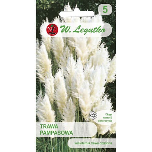 Pampafű fehér termék fotó 1 Pampafű fehér kép 1 termék 69634