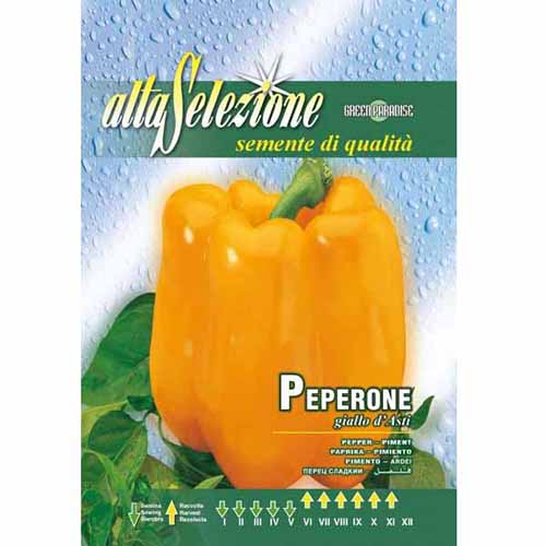 Paprika Giallo d'Asti termék fotó 1 Paprika Giallo d'Asti kép 1 termék 87136