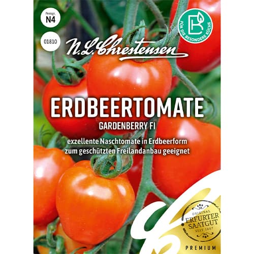Paradicsom Gardenberry F1 termék fotó 1 Paradicsom Gardenberry F1 kép 1 termék 86038