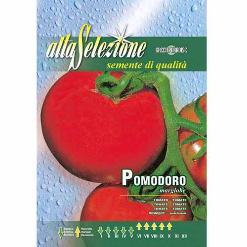 Paradicsom Marglobe kép 1 termék 87188