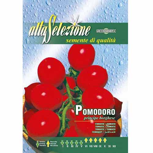 Paradicsom Principe Borghese kép 1 termék 87184