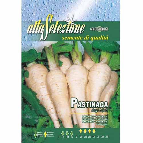 Paszternák Dugi Bijeli kép 1 termék 96391