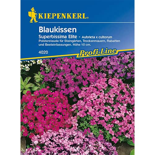 Pázsitviola Superbissima Elite kép 1 termék 86256