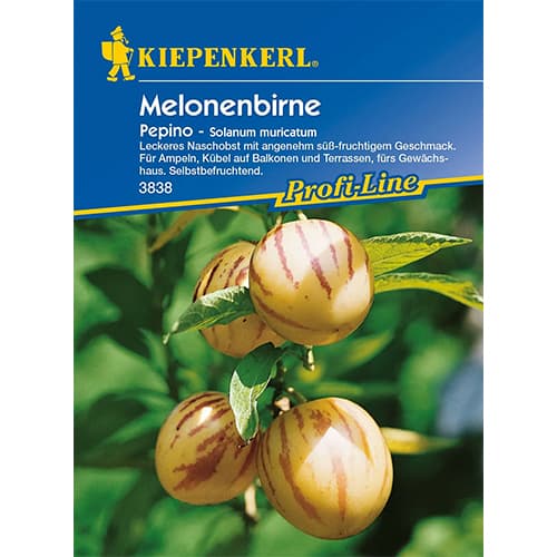 Pepino (Tojásdinnye) kép 1 termék 86478