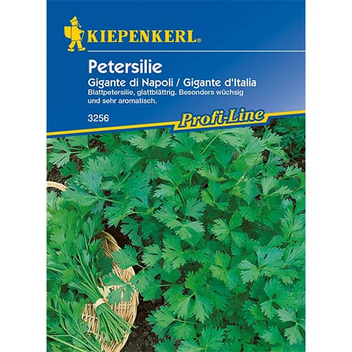 Petrezselyem levél Gigante di Napoli kép 1 termék 96644