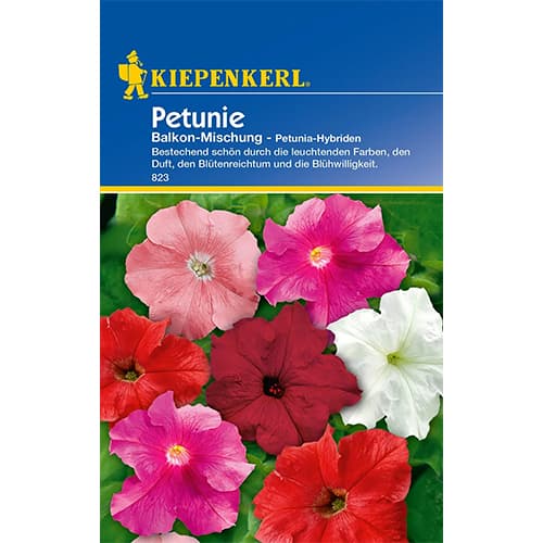 Petúnia balkon, színkeverék kép 1 termék 86298