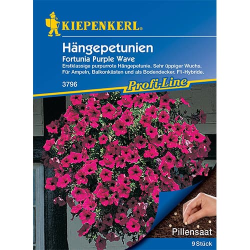 Petúnia Fortunia Purple Wave F1 Kiepenkerl kép 1 termék 50060