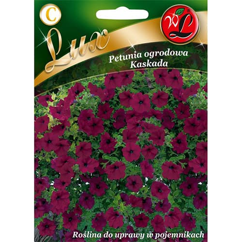Petunia Kaskada lila kép 1 termék 78673