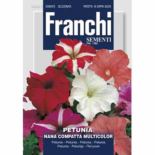 Petúnia törpe kompakt,mix kép 1 termék 96365
