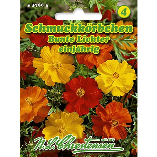 Kerti pillangóvirág Bunte Lichter kép 1 termék 86143