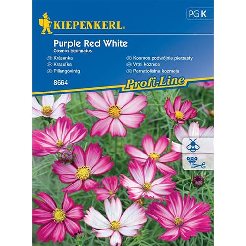Kerti pillangóvirág Purple Red White kép 1 termék 86308