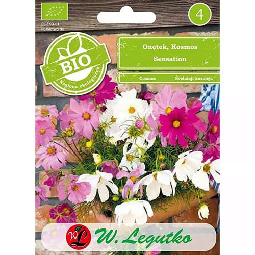 Pillangóvirág Kosmos, színkeverék kép 1 termék 87085