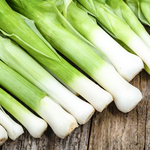 Póréhagyma Elefant Kiepenkerl kép 1 termék 50020