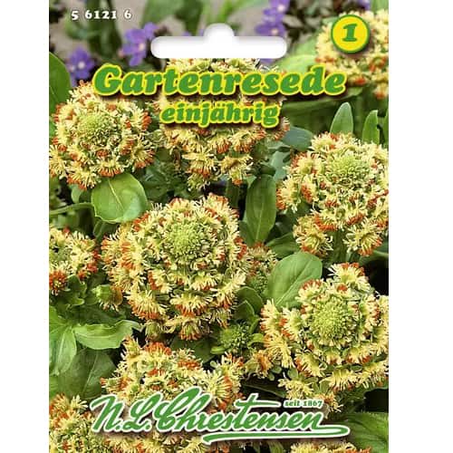 Rezeda termék fotó 1 Rezeda kép 1 termék 96441