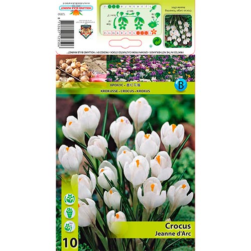 Sáfrány Jeanne d'Arc termék fotó 1 Sáfrány Jeanne d'Arc kép 1 termék 67332