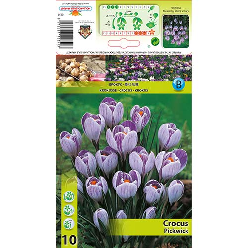 Sáfrány Pickwick kép 1 termék 67335