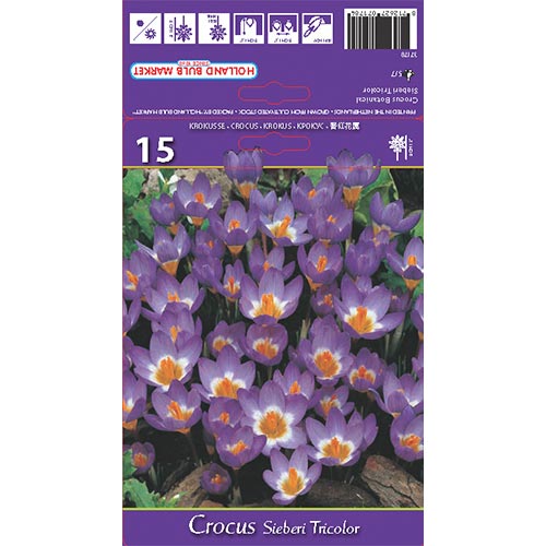 Sáfrány Sieberi Tricolor kép 1 termék 67620