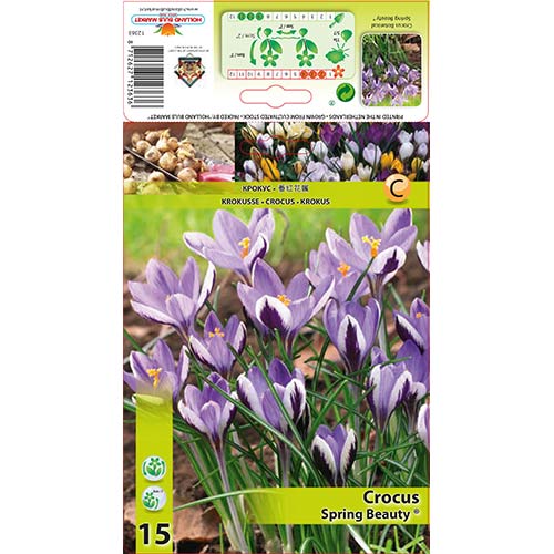 Sáfrány Spring Beauty termék fotó 1 Sáfrány Spring Beauty kép 1 termék 67342