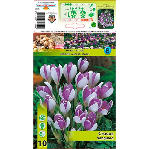 Sáfrány Vanguard kép 1 termék 67343