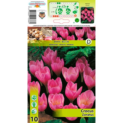 Sáfrány Zonatus termék fotó 1 Sáfrány Zonatus kép 1 termék 67345