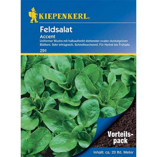 Saláta Accent kép 1 termék 77494