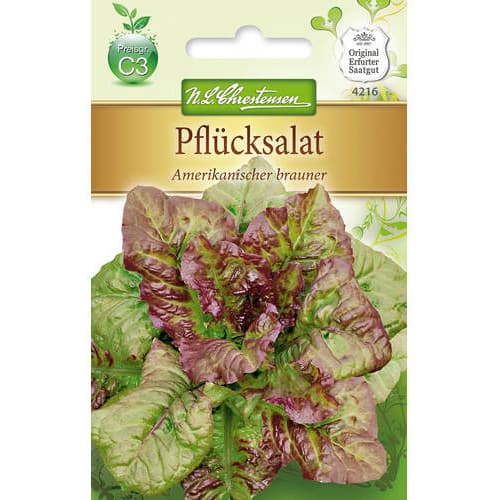 Saláta Amerikanischer Brauner kép 1 termék 78777