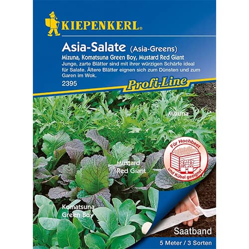 Saláta, fajtakeverék termék fotó 1 Saláta, fajtakeverék kép 1 termék 87291