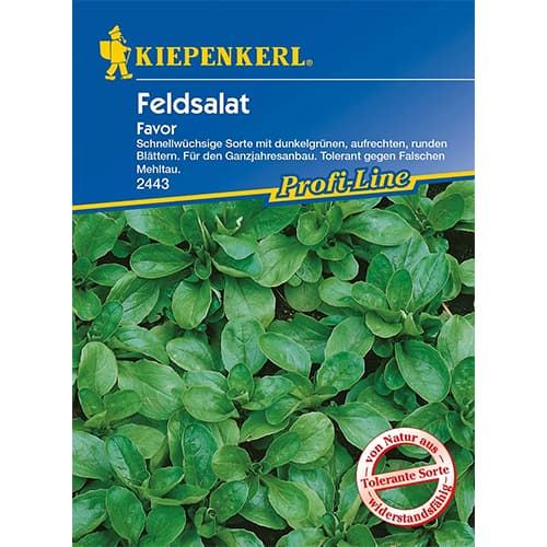 Saláta Favor kép 1 termék 86449