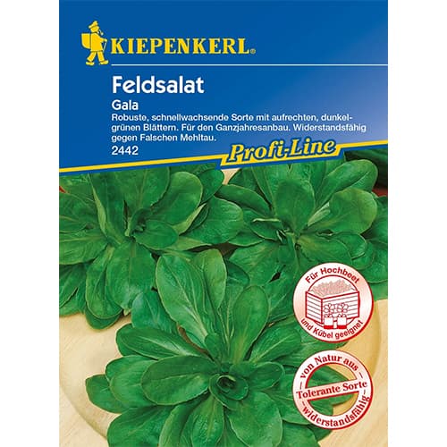 Saláta Gala kép 1 termék 86450