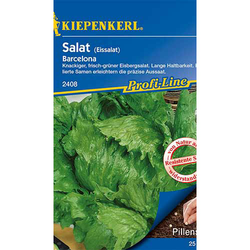 Saláta iceberg Barcelona kép 1 termék 86446