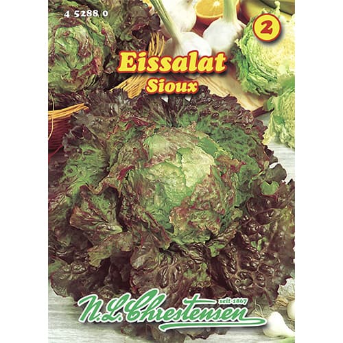 Saláta iceberg Sioux kép 1 termék 96471