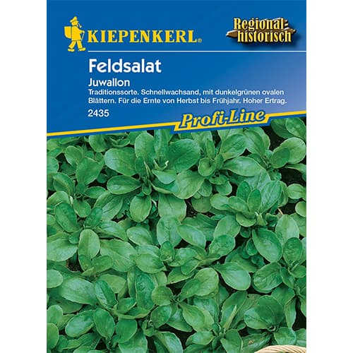 Saláta Juwallon kép 1 termék 96615