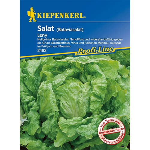 Saláta Leny kép 1 termék 96595