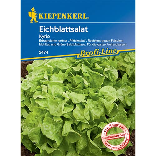 Saláta leveles Kyrio kép 1 termék 96609