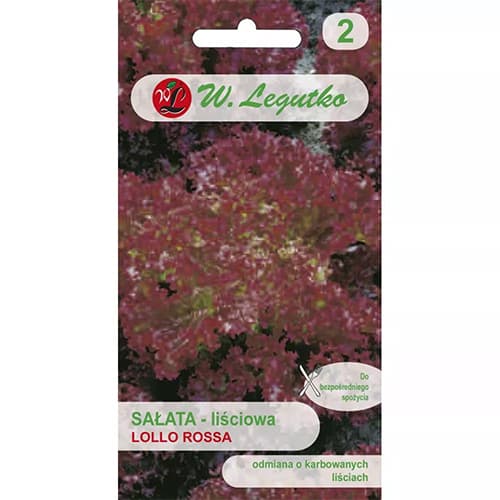 Saláta leveles Lollo Rossa termék fotó 1 Saláta leveles Lollo Rossa kép 1 termék 86903