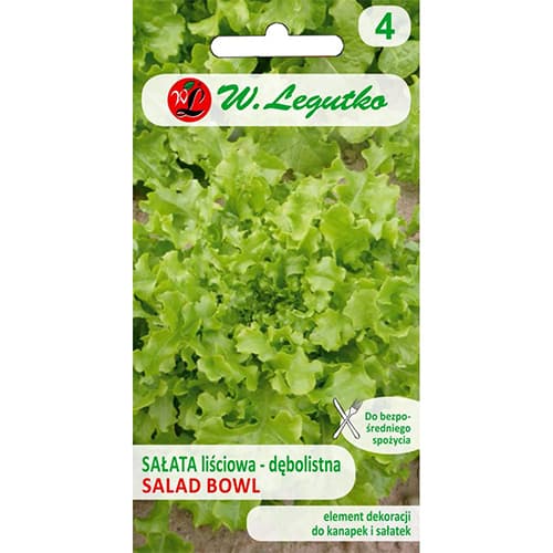 Saláta leveles Salad Bowl termék fotó 1 Saláta leveles Salad Bowl kép 1 termék 78500