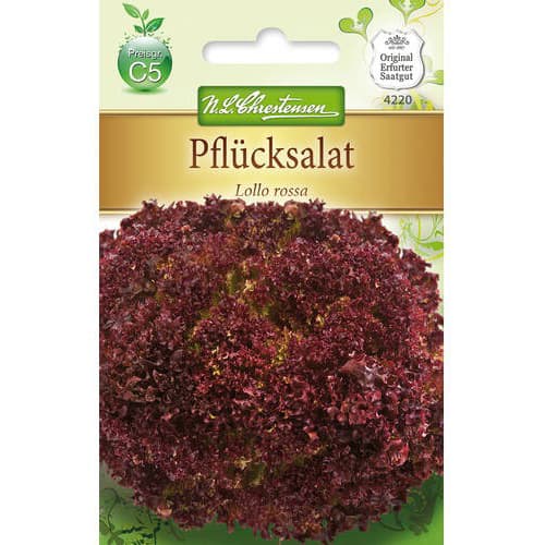 Saláta Lollo Rossa kép 1 termék 78779