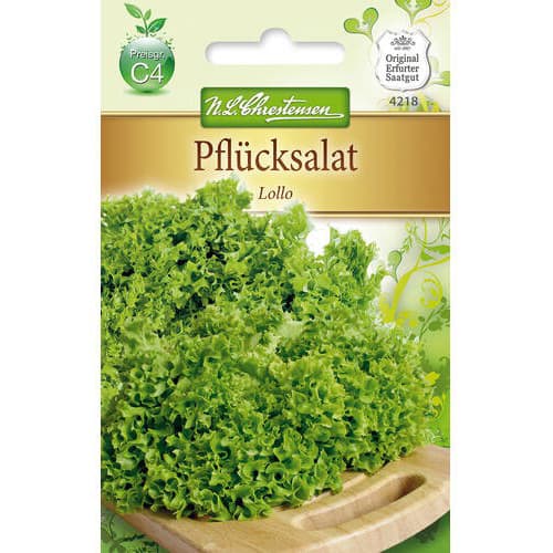Saláta Lollo kép 1 termék 78778